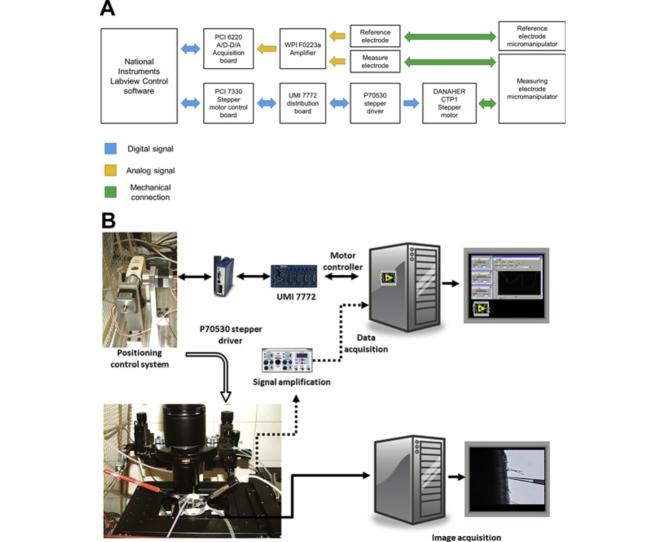 https://cdn.ncbi.nlm.nih.gov/pmc/blobs/b2da/4890110/c2f5ed6262cb/fx1.jpg