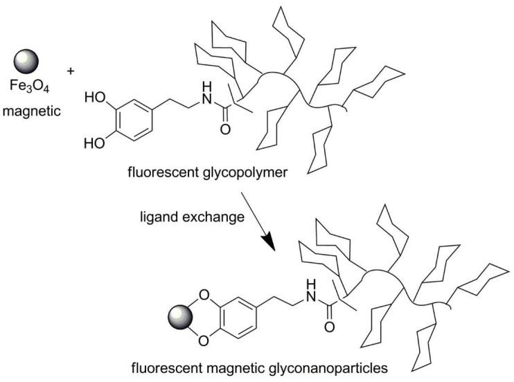 https://cdn.ncbi.nlm.nih.gov/pmc/blobs/b2db/8234925/77c8735ae759/polymers-13-02022-sch026.jpg