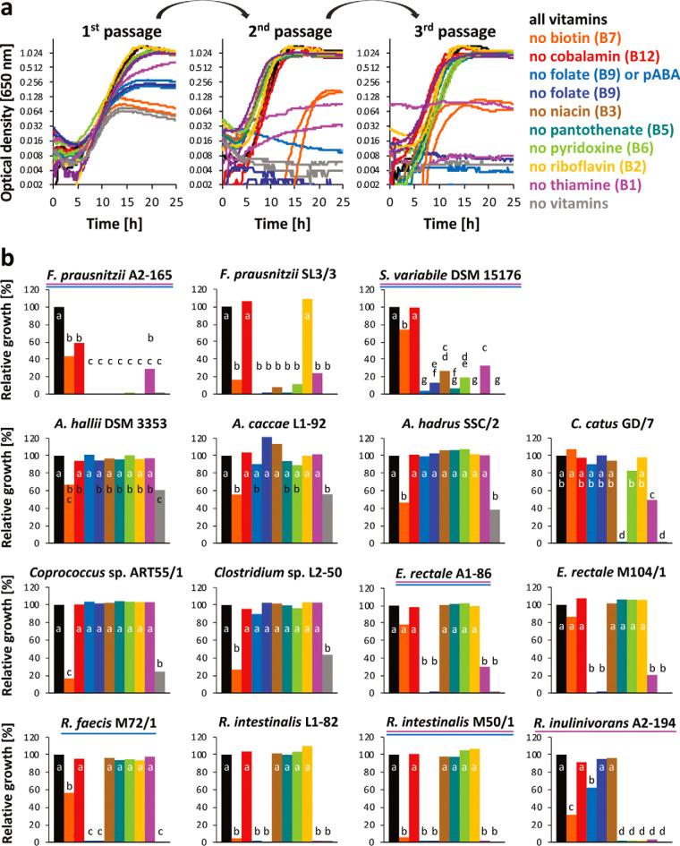https://cdn.ncbi.nlm.nih.gov/pmc/blobs/b2dc/7360928/63c6a652cb46/mBio.00886-20-f0003.jpg