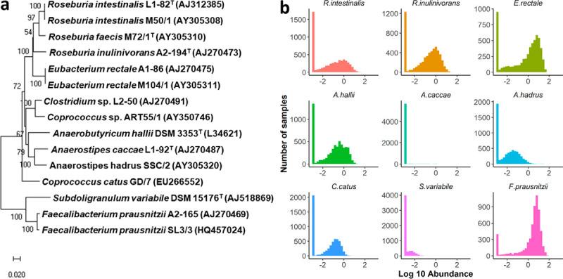 https://cdn.ncbi.nlm.nih.gov/pmc/blobs/b2dc/7360928/b4d2b4706ed4/mBio.00886-20-f0001.jpg