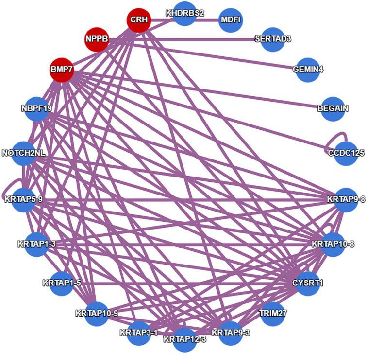 https://cdn.ncbi.nlm.nih.gov/pmc/blobs/b2dc/8194260/4499c2611662/fgene-12-640951-g005.jpg