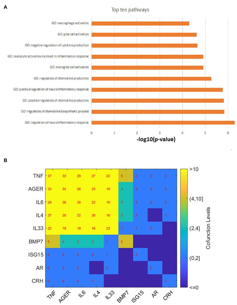 https://cdn.ncbi.nlm.nih.gov/pmc/blobs/b2dc/8194260/921fbb096564/fgene-12-640951-g004.jpg