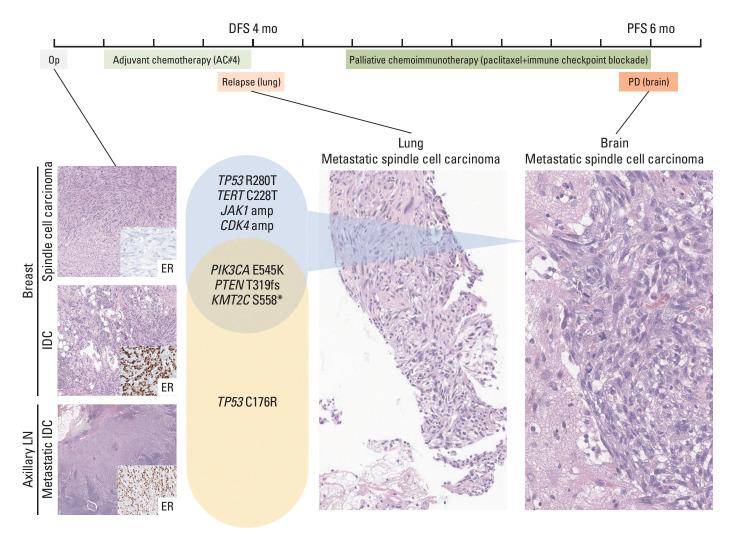 https://cdn.ncbi.nlm.nih.gov/pmc/blobs/b2dd/12016828/7769e837204a/crt-2024-296f5.jpg