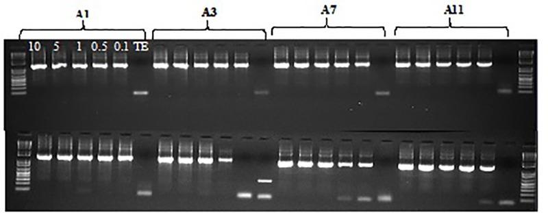https://cdn.ncbi.nlm.nih.gov/pmc/blobs/b2dd/6220596/89633cef0ed6/fpls-09-01568-g005.jpg