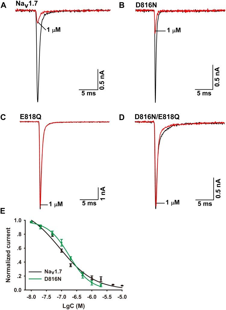 https://cdn.ncbi.nlm.nih.gov/pmc/blobs/b2df/6198068/d698bb89377f/fphar-09-01158-g006.jpg