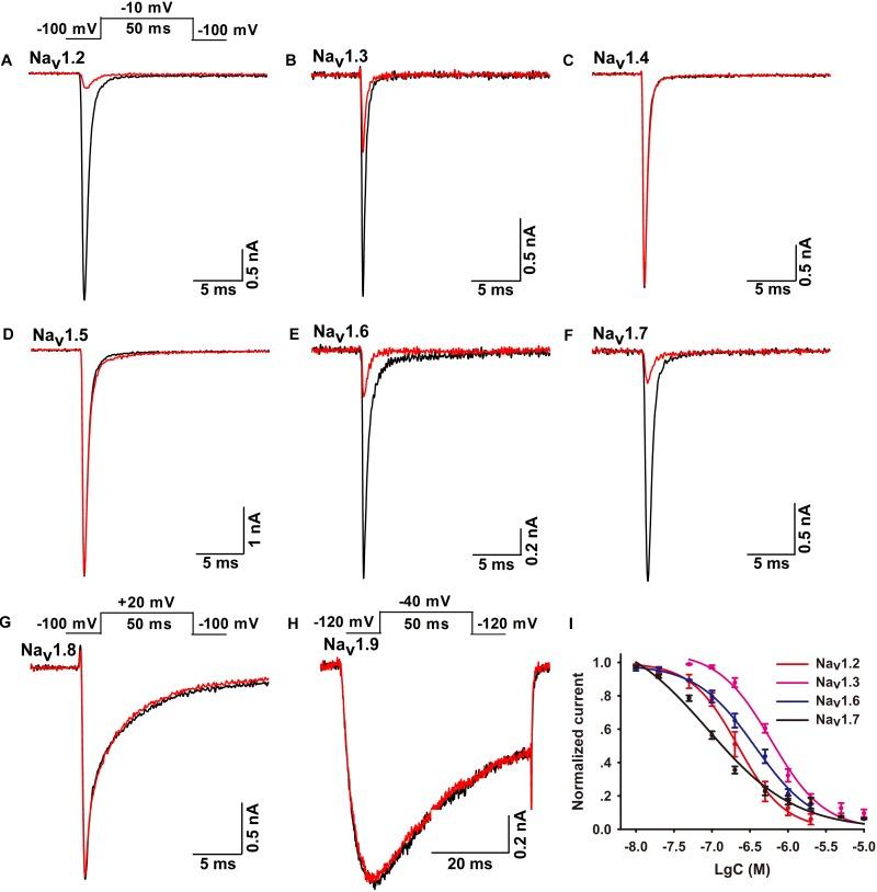 https://cdn.ncbi.nlm.nih.gov/pmc/blobs/b2df/6198068/dbc7ba733598/fphar-09-01158-g002.jpg