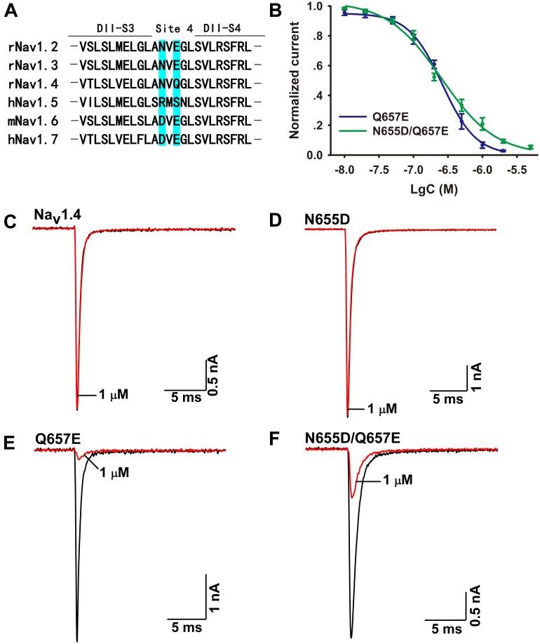 https://cdn.ncbi.nlm.nih.gov/pmc/blobs/b2df/6198068/f604ff103660/fphar-09-01158-g005.jpg