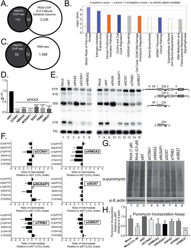 https://cdn.ncbi.nlm.nih.gov/pmc/blobs/b2df/7437866/a6b6521ee34d/pgen.1008967.g003.jpg