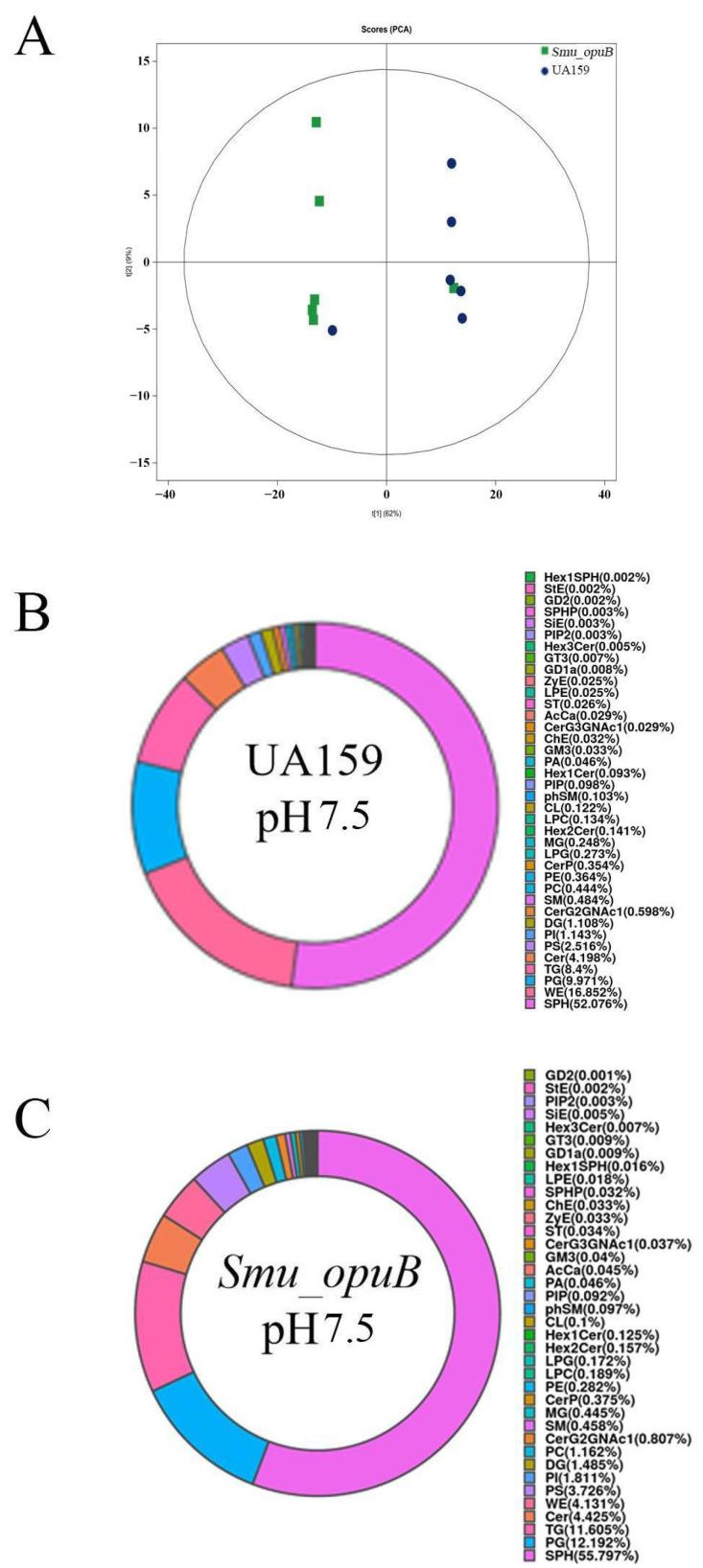 https://cdn.ncbi.nlm.nih.gov/pmc/blobs/b2e0/12029584/0aaa40f065ea/microorganisms-13-00884-g002.jpg