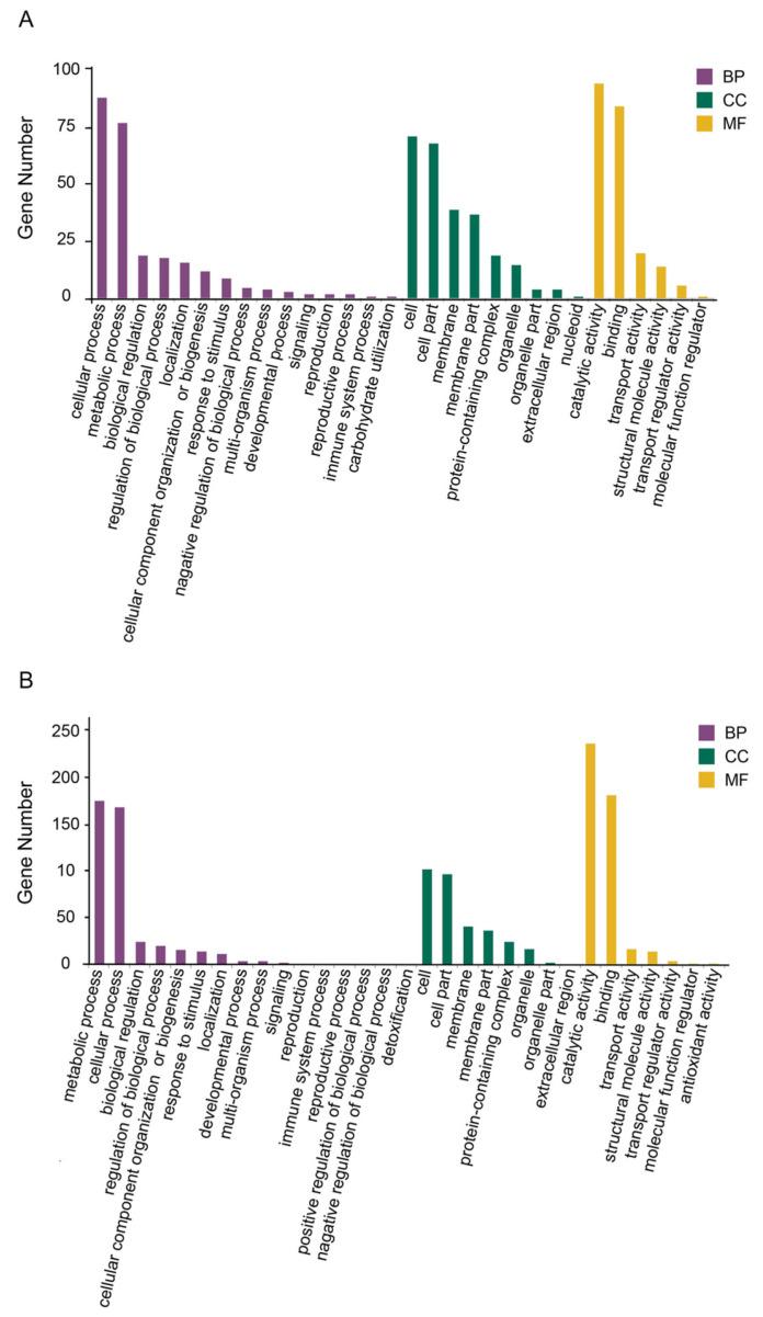 https://cdn.ncbi.nlm.nih.gov/pmc/blobs/b2e0/12029584/6253c099390b/microorganisms-13-00884-g008.jpg