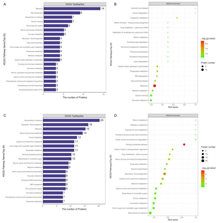 https://cdn.ncbi.nlm.nih.gov/pmc/blobs/b2e0/12029584/6c490d885f69/microorganisms-13-00884-g009.jpg