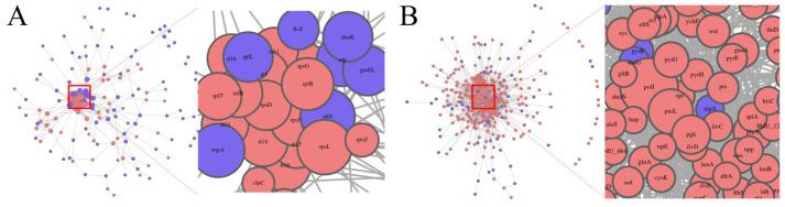 https://cdn.ncbi.nlm.nih.gov/pmc/blobs/b2e0/12029584/81c3636a3fcf/microorganisms-13-00884-g010.jpg