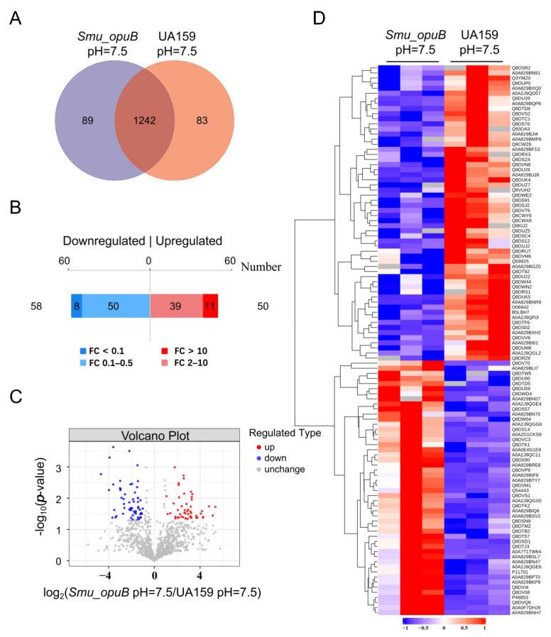 https://cdn.ncbi.nlm.nih.gov/pmc/blobs/b2e0/12029584/b430d1bf6200/microorganisms-13-00884-g006.jpg