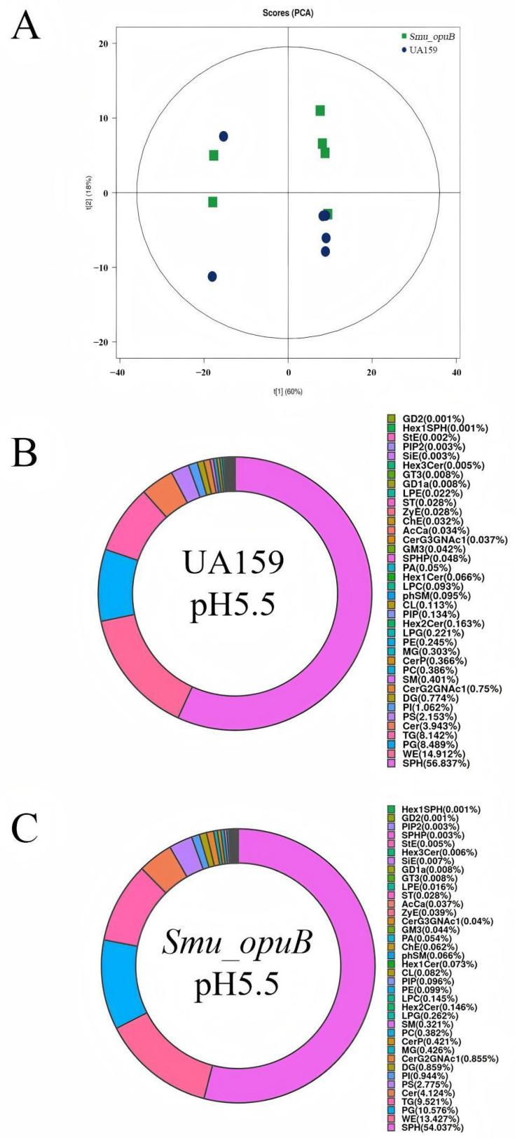 https://cdn.ncbi.nlm.nih.gov/pmc/blobs/b2e0/12029584/cf068c918175/microorganisms-13-00884-g003.jpg