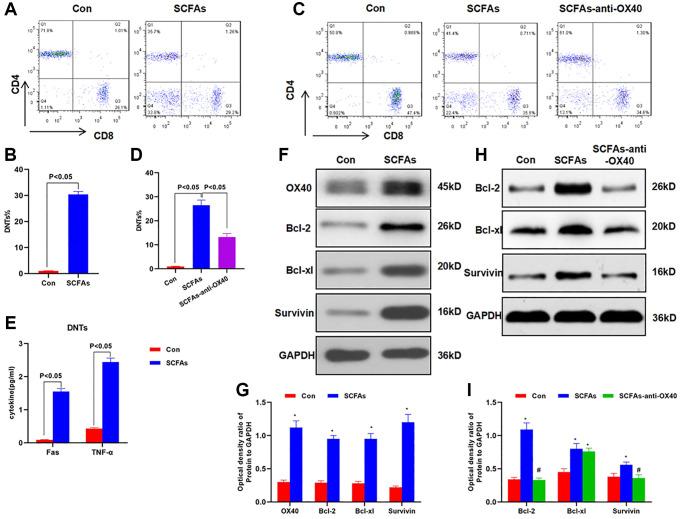 https://cdn.ncbi.nlm.nih.gov/pmc/blobs/b2e0/8457588/3fb2f70c1256/aging-13-203487-g005.jpg