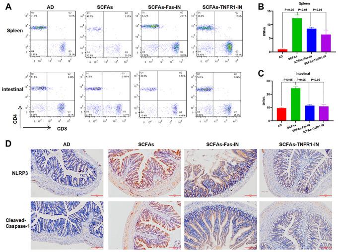 https://cdn.ncbi.nlm.nih.gov/pmc/blobs/b2e0/8457588/588cc7310a3d/aging-13-203487-g003.jpg
