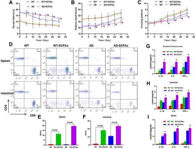 https://cdn.ncbi.nlm.nih.gov/pmc/blobs/b2e0/8457588/f25794c81000/aging-13-203487-g001.jpg