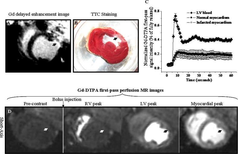 https://cdn.ncbi.nlm.nih.gov/pmc/blobs/b2e1/4376775/c19202c9e544/pone.0121326.g003.jpg