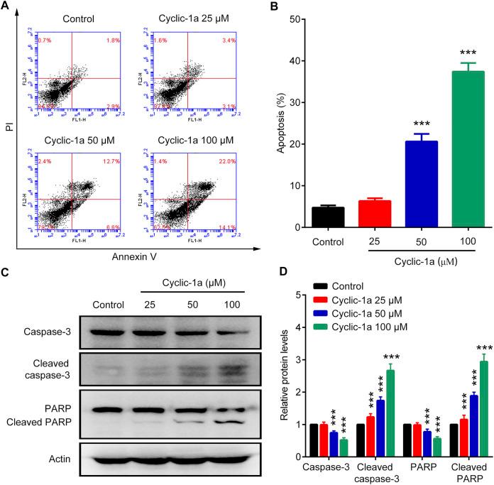 https://cdn.ncbi.nlm.nih.gov/pmc/blobs/b2e2/8795745/33daab51a8ad/fphar-12-811724-g004.jpg