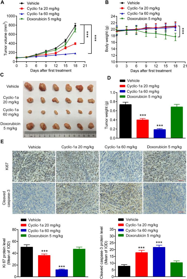 https://cdn.ncbi.nlm.nih.gov/pmc/blobs/b2e2/8795745/e05042ef9531/fphar-12-811724-g005.jpg