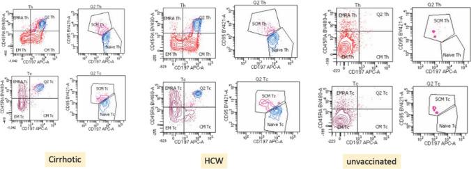 https://cdn.ncbi.nlm.nih.gov/pmc/blobs/b2e3/10821839/a53558f20916/10238_2023_1258_Fig4_HTML.jpg