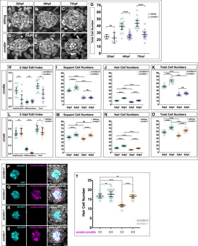 https://cdn.ncbi.nlm.nih.gov/pmc/blobs/b2e3/12259956/972cdd5fec90/41467_2025_60251_Fig3_HTML.jpg