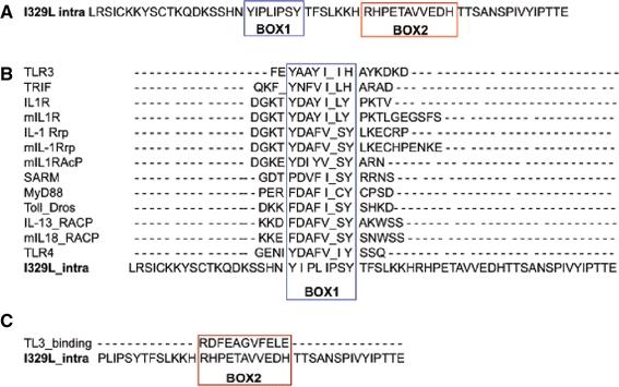 https://cdn.ncbi.nlm.nih.gov/pmc/blobs/b2e3/3066390/7248de37983b/705_2010_894_Fig1_HTML.jpg