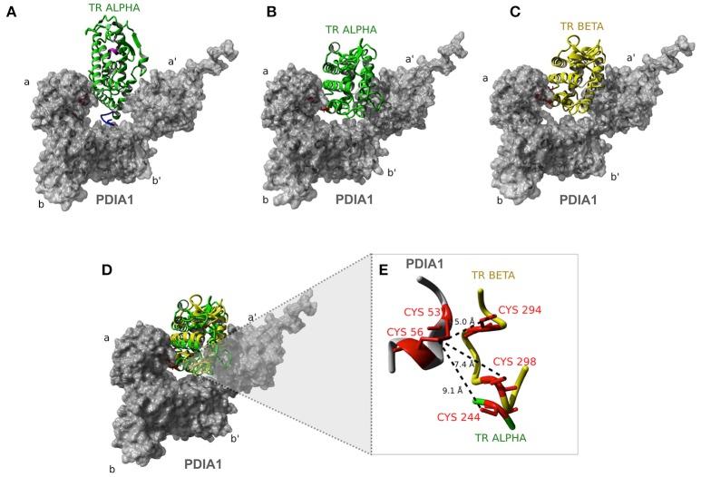 https://cdn.ncbi.nlm.nih.gov/pmc/blobs/b2e4/6331412/e1e446df69c7/fendo-09-00784-g0007.jpg