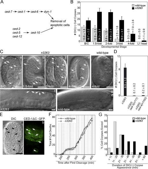 https://cdn.ncbi.nlm.nih.gov/pmc/blobs/b2e6/2213587/13091e6a2c97/jcb1800357f01.jpg