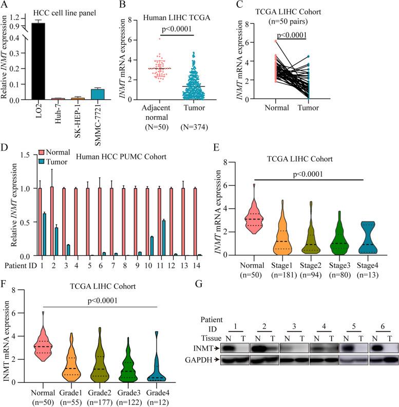 https://cdn.ncbi.nlm.nih.gov/pmc/blobs/b2e7/10197375/3c9ba0e69cb1/12885_2023_10944_Fig6_HTML.jpg