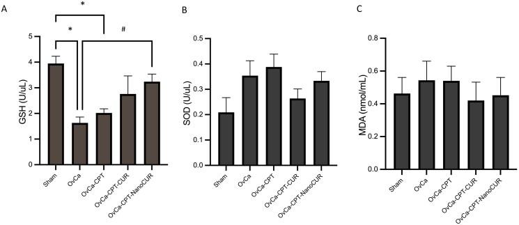 https://cdn.ncbi.nlm.nih.gov/pmc/blobs/b2e7/9888479/376e19ee00de/IPHB_A_2166965_F0004_C.jpg