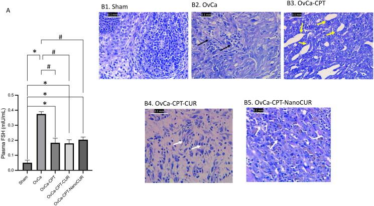 https://cdn.ncbi.nlm.nih.gov/pmc/blobs/b2e7/9888479/fe202783f6a4/IPHB_A_2166965_F0001_C.jpg