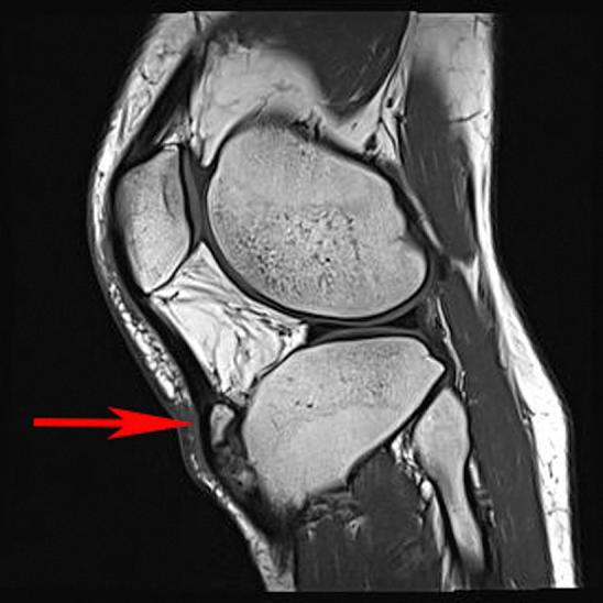 https://cdn.ncbi.nlm.nih.gov/pmc/blobs/b2e8/9134260/3f333d121842/gr2.jpg