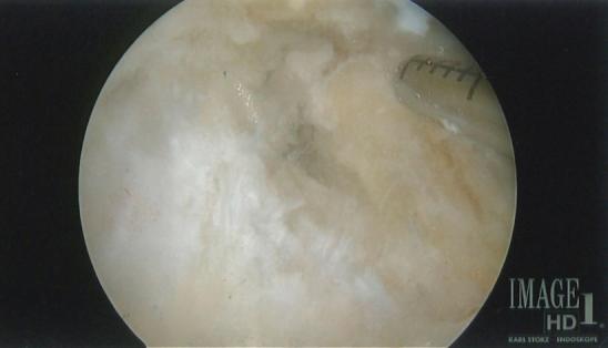 https://cdn.ncbi.nlm.nih.gov/pmc/blobs/b2e8/9134260/59ebdf1bc6dc/gr9.jpg