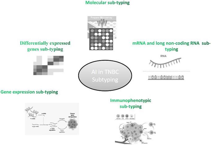 https://cdn.ncbi.nlm.nih.gov/pmc/blobs/b2ea/11300496/7228751416a8/432_2024_5903_Fig2_HTML.jpg