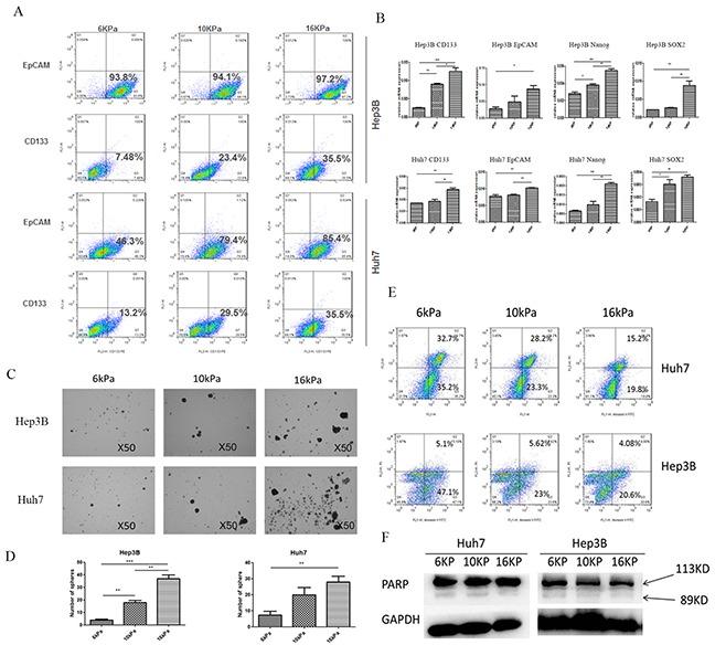 https://cdn.ncbi.nlm.nih.gov/pmc/blobs/b2ea/5078009/632837bdfdc9/oncotarget-07-32221-g001.jpg
