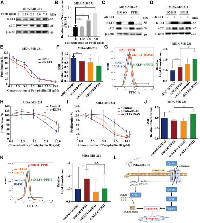 https://cdn.ncbi.nlm.nih.gov/pmc/blobs/b2ea/8141818/57cbf7090f6a/fphar-12-670224-g005.jpg
