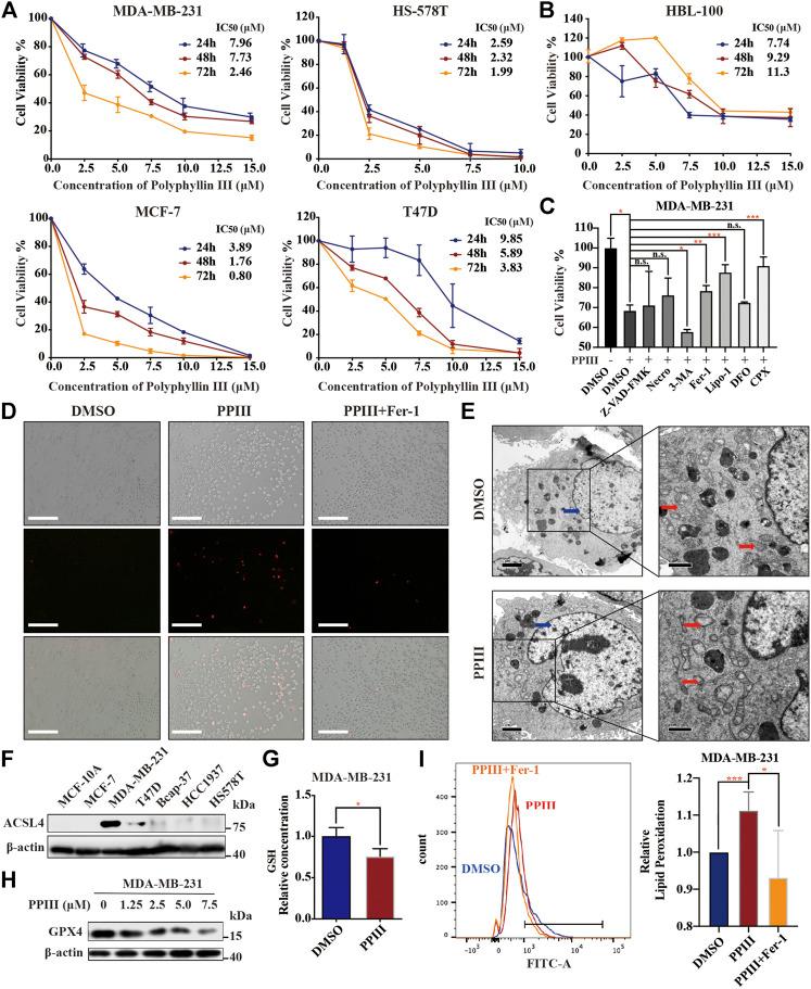 https://cdn.ncbi.nlm.nih.gov/pmc/blobs/b2ea/8141818/b307403c5791/fphar-12-670224-g001.jpg