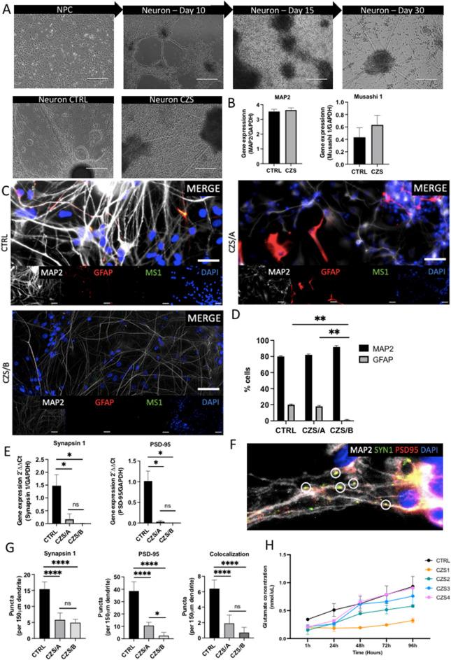 https://cdn.ncbi.nlm.nih.gov/pmc/blobs/b2eb/11297915/b185e19933f6/41598_2024_65392_Fig2_HTML.jpg