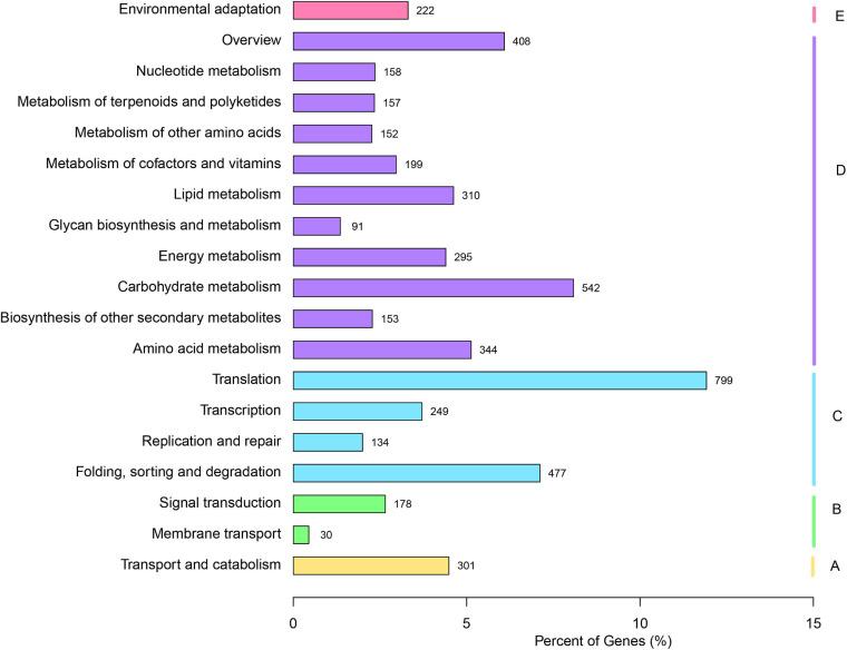 https://cdn.ncbi.nlm.nih.gov/pmc/blobs/b2ed/7970127/4bd4c53138cb/fgene-12-602528-g002.jpg