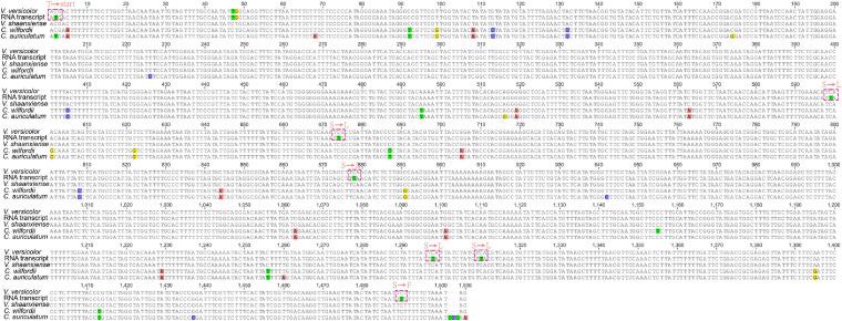 https://cdn.ncbi.nlm.nih.gov/pmc/blobs/b2ed/7970127/73008896ba58/fgene-12-602528-g004.jpg