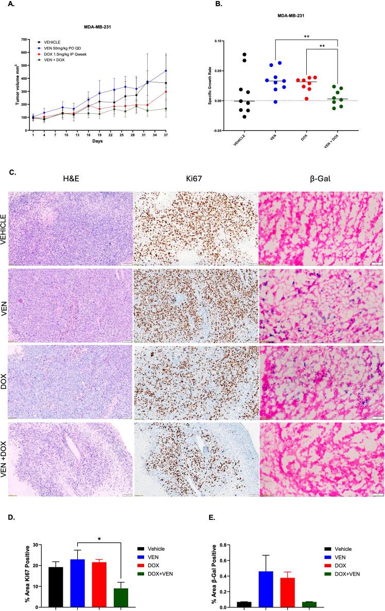 https://cdn.ncbi.nlm.nih.gov/pmc/blobs/b2ef/11999952/182ec5c82237/fonc-15-1549282-g006.jpg