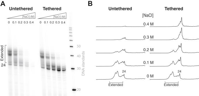 https://cdn.ncbi.nlm.nih.gov/pmc/blobs/b2ef/8368030/556112f09105/gr2.jpg