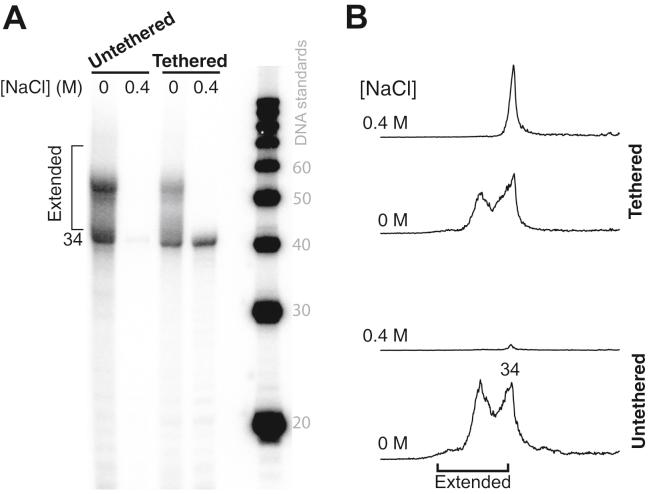 https://cdn.ncbi.nlm.nih.gov/pmc/blobs/b2ef/8368030/713f13f678c4/gr4.jpg