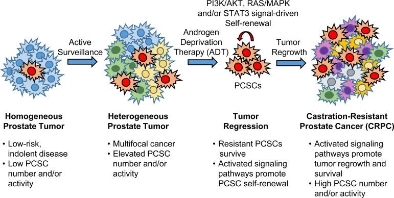 https://cdn.ncbi.nlm.nih.gov/pmc/blobs/b2f2/4385825/2acbeec8840a/oncotarget-06-1900-g004.jpg