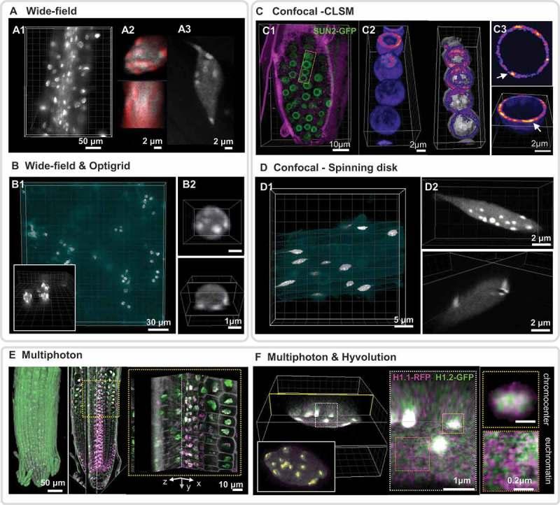 https://cdn.ncbi.nlm.nih.gov/pmc/blobs/b2f7/6682351/473648a1e62d/kncl-10-01-1644592-g001.jpg