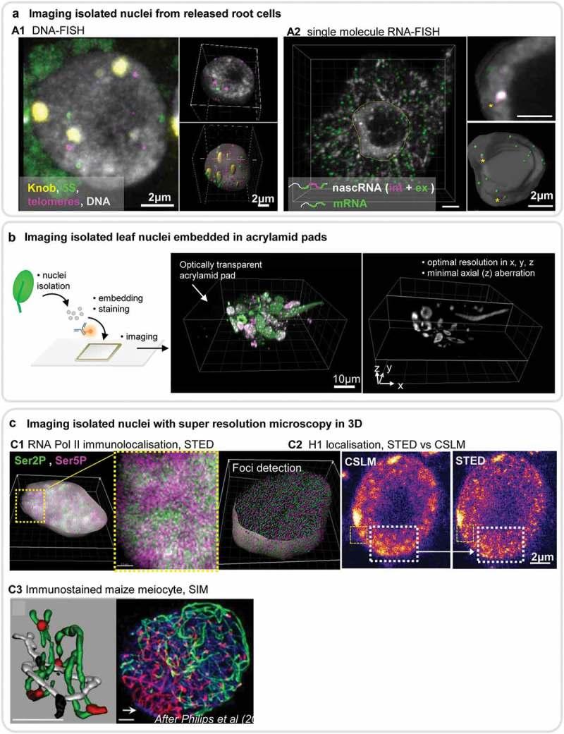 https://cdn.ncbi.nlm.nih.gov/pmc/blobs/b2f7/6682351/cd0b14c82b41/kncl-10-01-1644592-g003.jpg