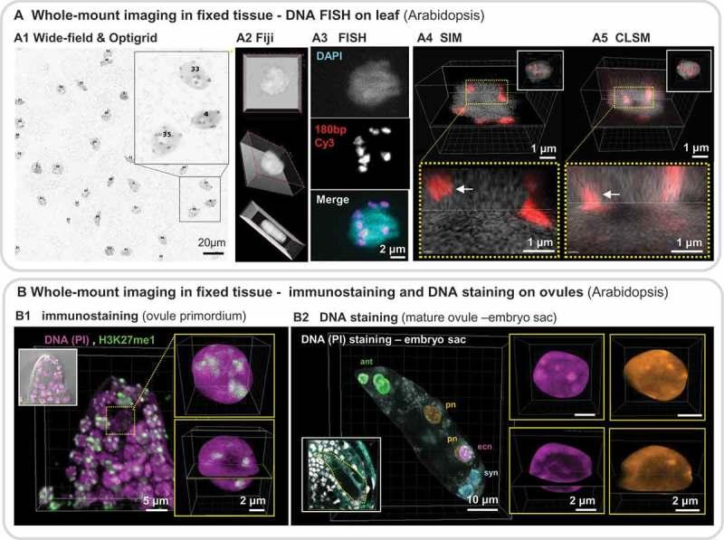 https://cdn.ncbi.nlm.nih.gov/pmc/blobs/b2f7/6682351/eb690266e4e6/kncl-10-01-1644592-g002.jpg