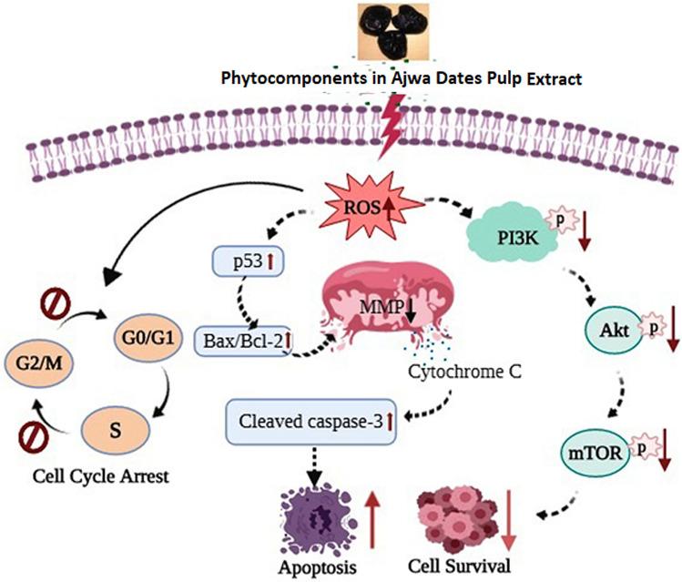 https://cdn.ncbi.nlm.nih.gov/pmc/blobs/b2f7/8121835/b5e780256dcd/41598_2021_89420_Fig7_HTML.jpg