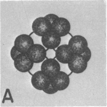 https://cdn.ncbi.nlm.nih.gov/pmc/blobs/b2fa/432921/4b211021836b/pnas00051-0242-c.jpg